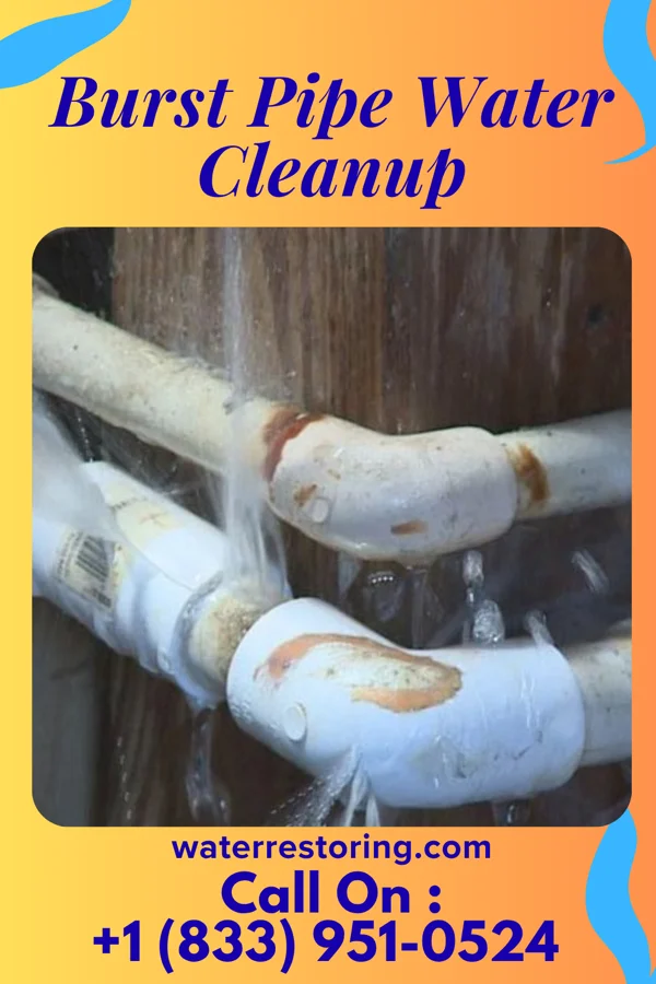 Burst Pipe Water Cleanup in Seneca Knolls, NY