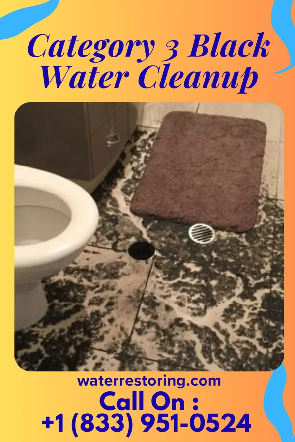 Category 3 Black Water Cleanup in Seneca Knolls, NY