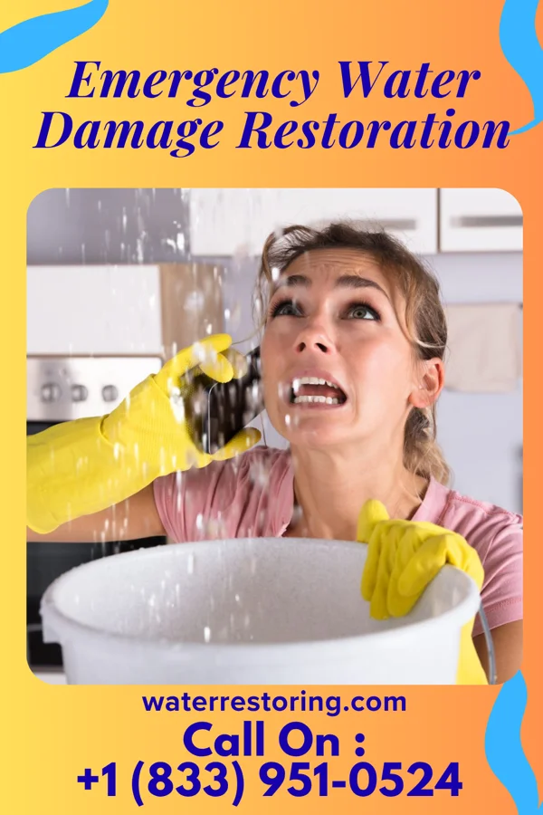 Emergency Water Damage Restoration in Seneca Knolls, NY