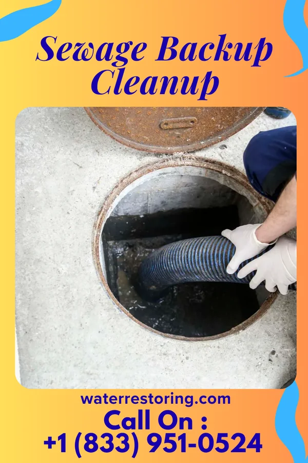 Sewage Backup Cleanup in Seneca Knolls, NY