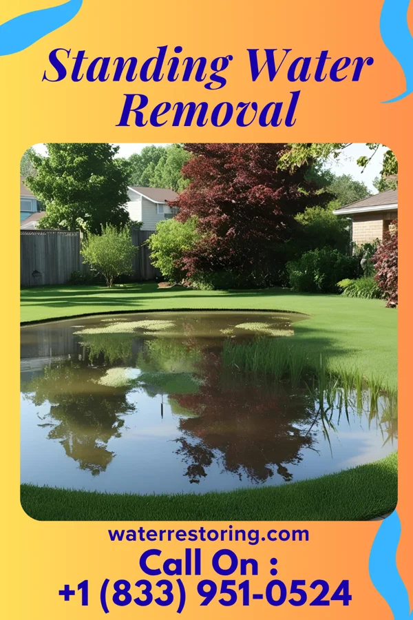 Standing Water Removal in Seneca Knolls, NY